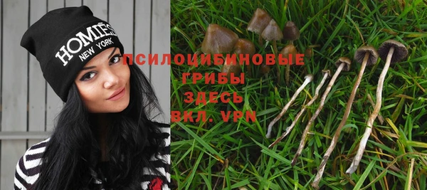 прущие крисы Алексин