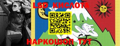 кокс Владимир