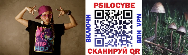 Псилоцибиновые грибы Psilocybe Белореченск
